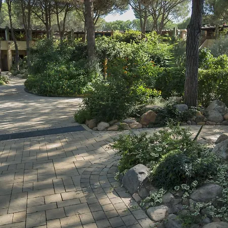 Abbaechelu-3 By Interhome * Pinus Village